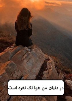 دانلود رمان در دنیای من هوا تک نفره است