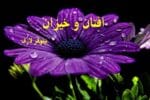 دانلود رمان افتان و خیزان - تصویر 1