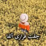 دانلود رمان جفت فراری آلفا pdf از جنیفر ایو