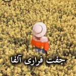دانلود رمان جفت فراری آلفا pdf از جنیفر ایو