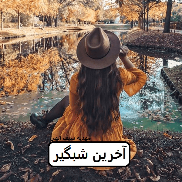 دانلود رمان آخرین شبگیرpdf