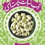 دانلود رمان آبنبات پسته‌ای جلد 2 اثر مهردادصدقی