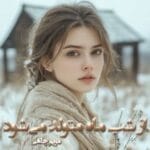 دانلود رمان از شب ماه متولد میشود