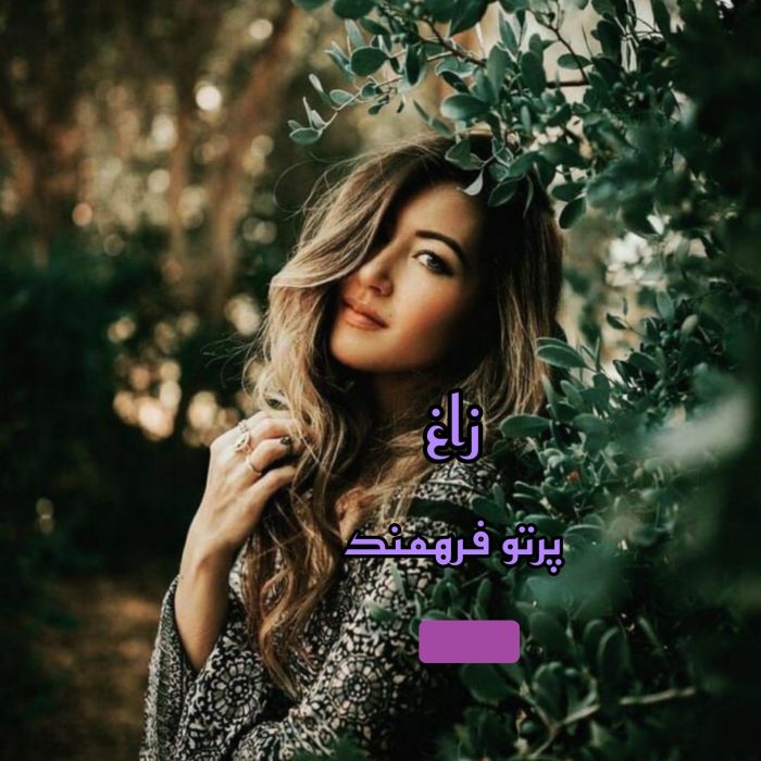 دانلود رمان زاغ pdf