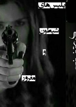 دانلود پلیس های شیطون و مغرور pdf