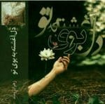 دانلود رمان دل آغشته به بوی تو pdf اثر زهرا برومند