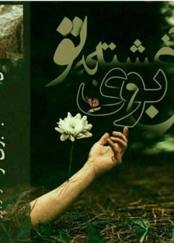 دانلود رمان دل آغشته به بوی تو pdf اثر زهرا برومند