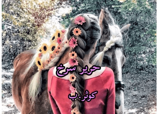 دانلود رمان حریر سرخ pdf