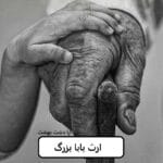 دانلود رمان ارث بابابزرگ pdf