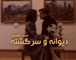دانلودرمان دیوانه وسرگشته PDF