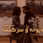 دانلودرمان دیوانه وسرگشته PDF