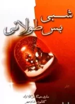 دانلود رمان شبی بس طولانی pdf - تصویر 1