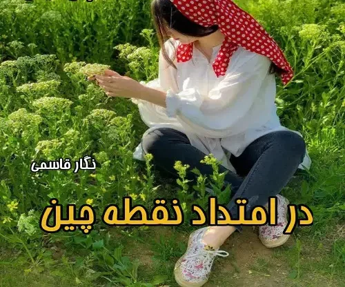 cropped-photo7449041621.jpg.webp دانلود رمان در امتداد نقطه چین - تصویر 1