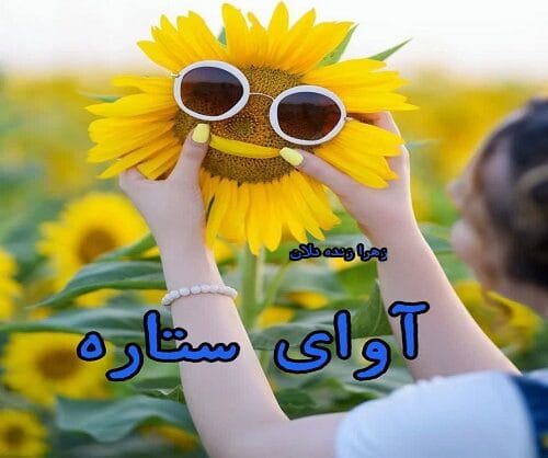 cropped-photo8973939113.jpg دانلود رمان آوای ستاره - تصویر 1