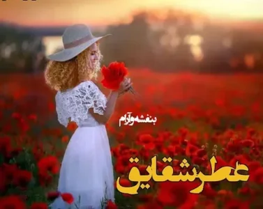 رمان عطر شقایق | دانلود | کتاب خوان