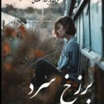 دانلود رمان برزخ سرد pdf