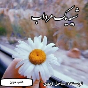 رمان شبیه یک مرداب  | دانلود  | کتاب خوان