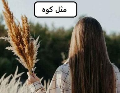 رمان مثل کوه | دانلود  | کتاب خوان