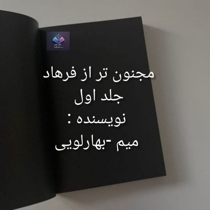 دانلود رمان مجنون تر از فرهاد جلد اول PDF