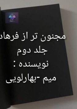 دانلود رمان مجنون تر از فرهاد جلد دوم PDF