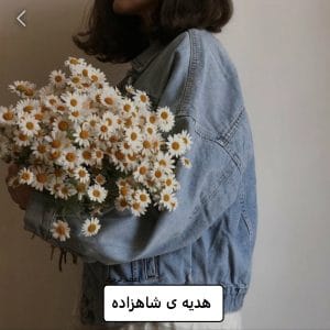 رمان هدیه ی شاهزاده  | دانلود  | کتاب خوان