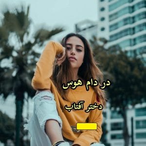 رمان در دام هوس | دانلود | کتاب خوان رمان در دام هوس | دانلود | کتاب خوان