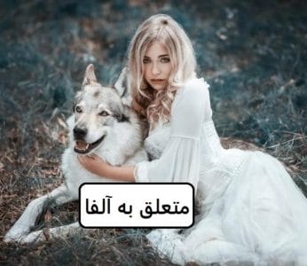 رمان متعلق به آلفا  | دانلود  | کتاب خوان
