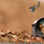 دانلود رمان پری زاده PDF