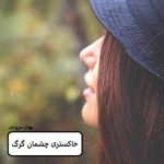 دانلود رمان خاکستری چشمان گرگpdf
