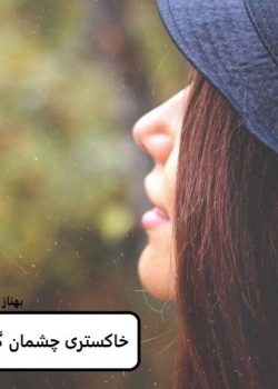 دانلود رمان خاکستری چشمان گرگpdf