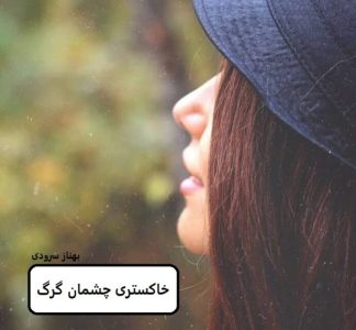 رمان خاکستری چشمان گرگ | دانلود  | کتاب خوان