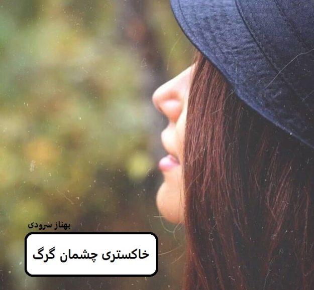 دانلود رمان خاکستری چشمان گرگpdf