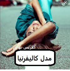 دانلود رمان مدل کالیفرنیا pdf