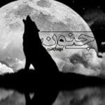 دانلود رمان جنون pdf