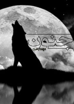 دانلود رمان جنون pdf