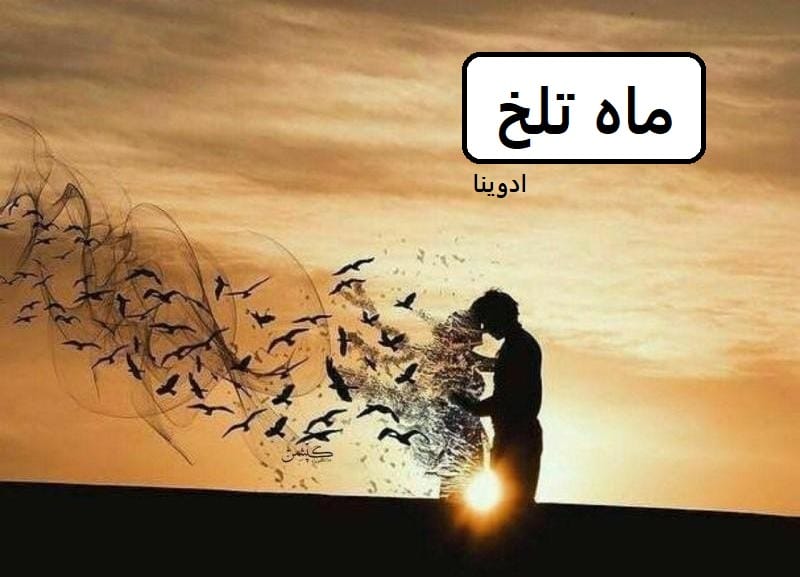 دانلود رمان ماه تلخ pdf