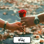 دانلود رمان پناه pdf