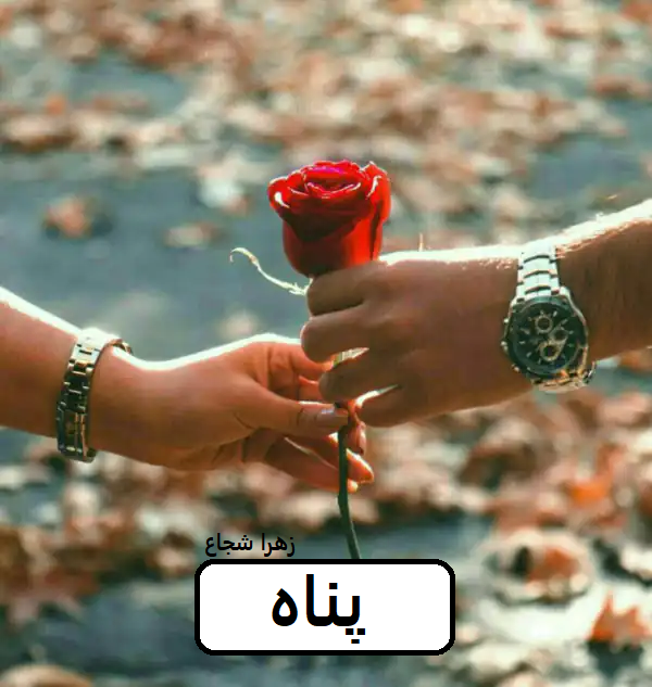 دانلود رمان پناه pdf