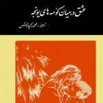 دانلود رمان عشق در میان کومه های یونجه pdf
