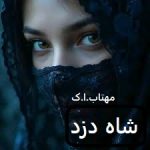 دانلود رمان شاه دزد pdf