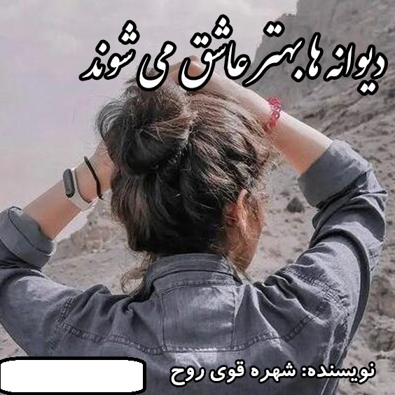 دانلود رمان دیوانه ها بهترعاشق می شوند pdf