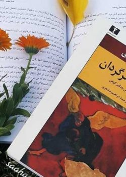 دانلود کتاب شبح سرگردان اثر رومن گاری pdf