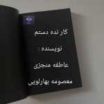 دانلود رمان کار نده دستم PDF