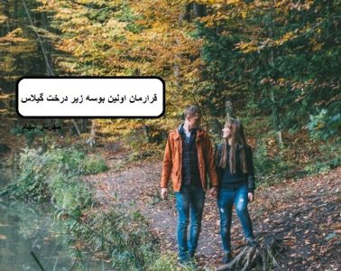 رمان قرارمان اولین بوسه زیر درخت گیلاس  | دانلود  | کتاب خوان