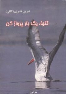 کتاب تنها یک بار پرواز کن | دانلود | کتاب خوان