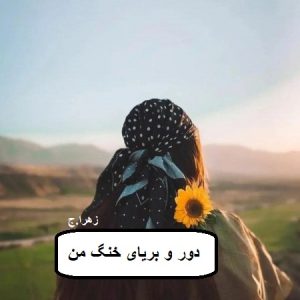 دانلود رمان دور و بریای خنگ من pdf
