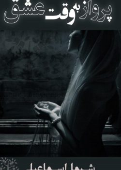 دانلود رمان پرواز به وقت عشق pdf
