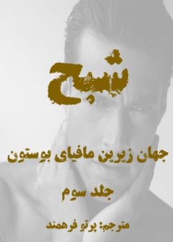 رمان شبح از پرتو فرهمند pdf