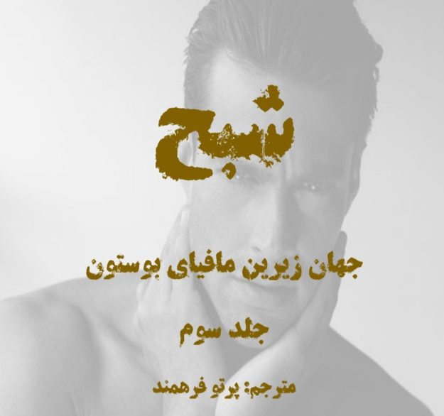 رمان شبح از پرتو فرهمند pdf