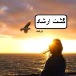 دانلود رمان گشت ارشاد pdf